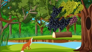 Fox And Grapes